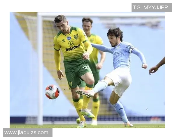 诺维奇足球明星阵容全解析及其在英超的表现与成就 诺维奇足球明星阵容全解析及其在英超的表现与成就