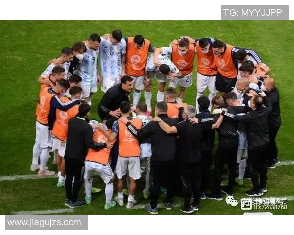 奥地利对阵巴西精彩直播视频全程回顾与分析